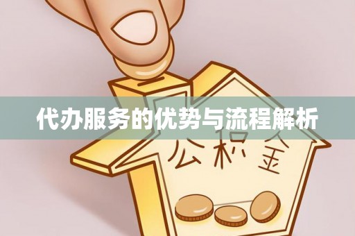 南乐代办服务的优势与流程解析