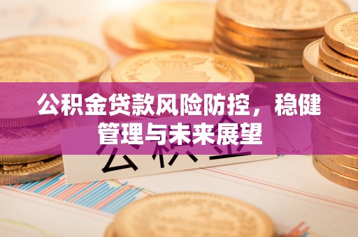 南乐公积金贷款风险防控，稳健管理与未来展望