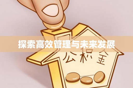 南乐探索高效管理与未来发展