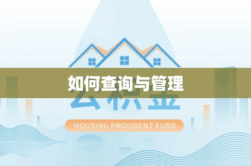 南乐如何查询与管理