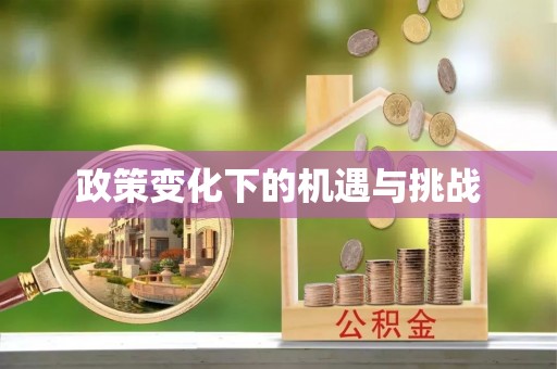 南乐政策变化下的机遇与挑战