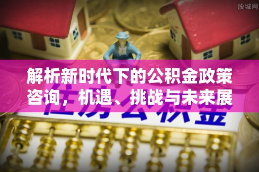 南乐解析新时代下的公积金政策咨询，机遇、挑战与未来展望
