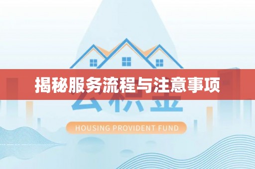 南乐揭秘服务流程与注意事项
