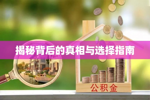 南乐揭秘背后的真相与选择指南