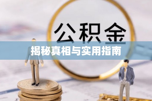 南乐揭秘真相与实用指南