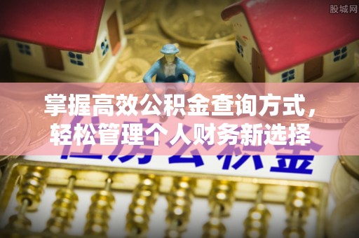南乐掌握高效公积金查询方式，轻松管理个人财务新选择