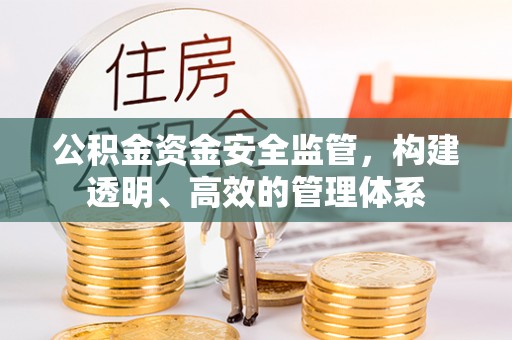 南乐公积金资金安全监管，构建透明、高效的管理体系