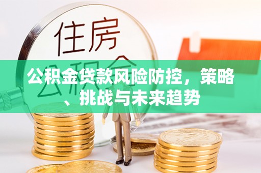 南乐公积金贷款风险防控，策略、挑战与未来趋势