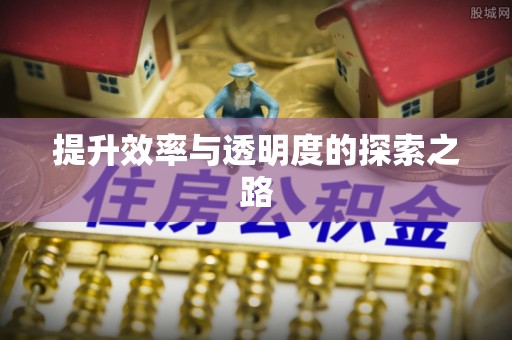 南乐提升效率与透明度的探索之路