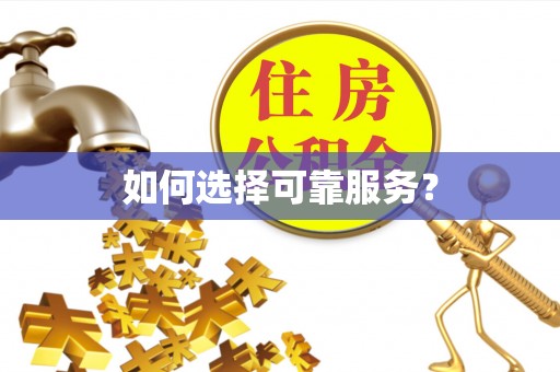 南乐如何选择可靠服务？