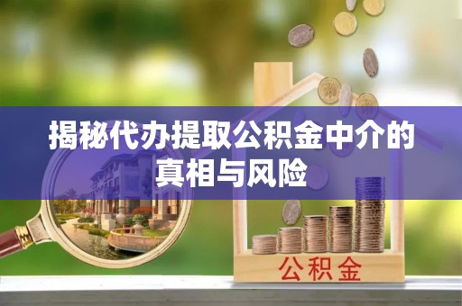 南乐揭秘代办提取公积金中介的真相与风险