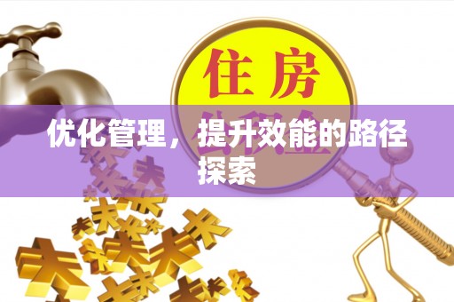 南乐优化管理，提升效能的路径探索