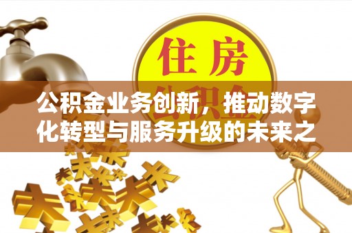 南乐公积金业务创新，推动数字化转型与服务升级的未来之路