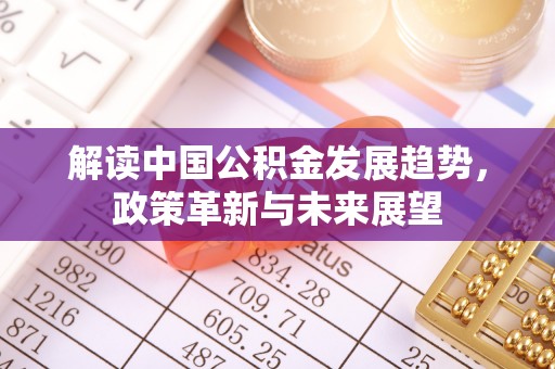 南乐解读中国公积金发展趋势，政策革新与未来展望
