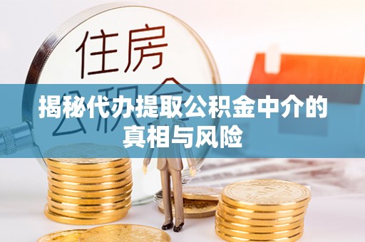 南乐揭秘代办提取公积金中介的真相与风险