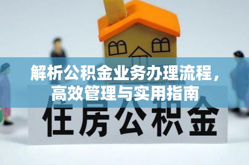 南乐解析公积金业务办理流程，高效管理与实用指南