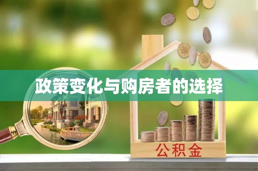 南乐政策变化与购房者的选择
