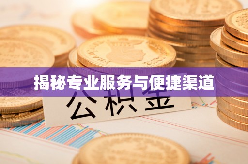 南乐揭秘专业服务与便捷渠道