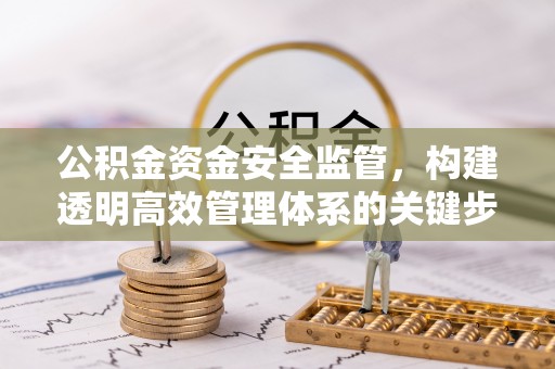 南乐公积金资金安全监管，构建透明高效管理体系的关键步骤