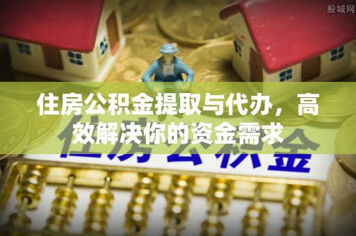 南乐住房公积金提取与代办，高效解决你的资金需求