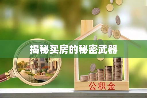 南乐揭秘买房的秘密武器