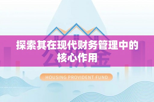 南乐探索其在现代财务管理中的核心作用