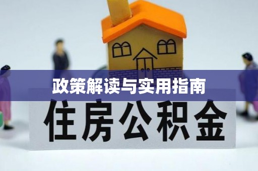 南乐政策解读与实用指南