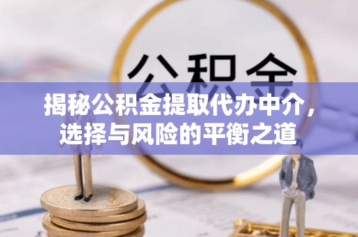 南乐揭秘公积金提取代办中介，选择与风险的平衡之道