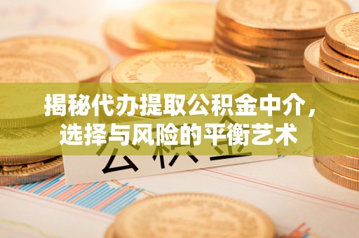 南乐揭秘代办提取公积金中介，选择与风险的平衡艺术