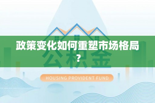 南乐政策变化如何重塑市场格局？