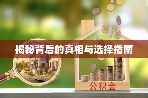 南乐揭秘背后的真相与选择指南