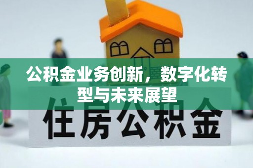 南乐公积金业务创新，数字化转型与未来展望