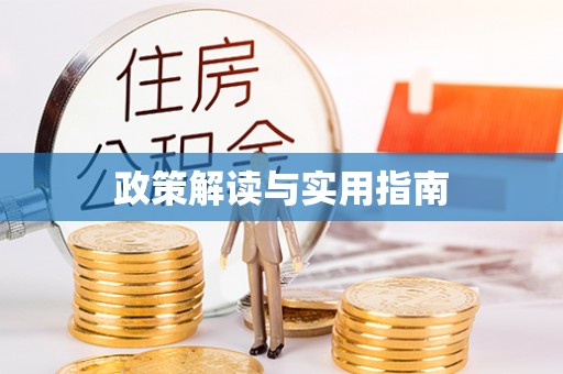 南乐政策解读与实用指南