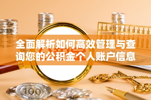 南乐全面解析如何高效管理与查询您的公积金个人账户信息