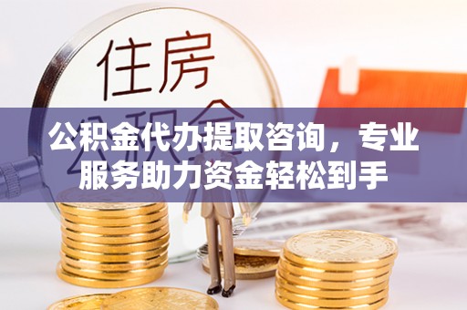 南乐公积金代办提取咨询，专业服务助力资金轻松到手