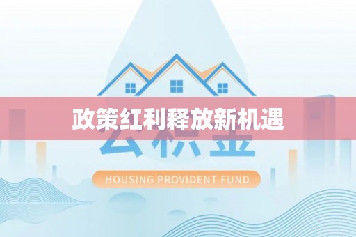 南乐政策红利释放新机遇