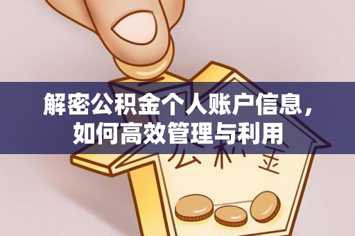 南乐解密公积金个人账户信息，如何高效管理与利用