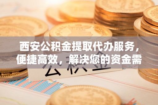 南乐西安公积金提取代办服务，便捷高效，解决您的资金需求