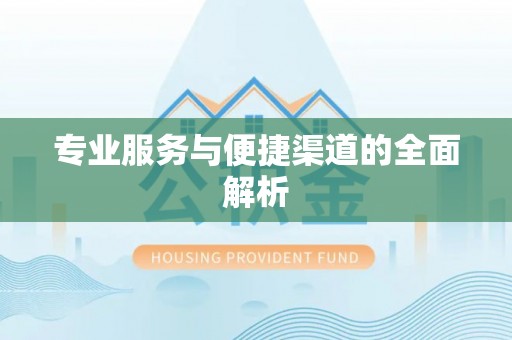 南乐专业服务与便捷渠道的全面解析