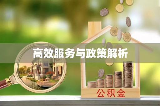 南乐高效服务与政策解析