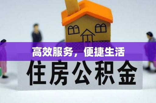 南乐高效服务，便捷生活