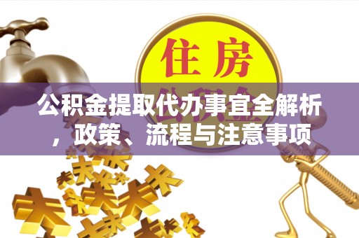 南乐公积金提取代办事宜全解析，政策、流程与注意事项