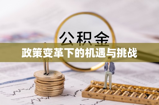 南乐政策变革下的机遇与挑战
