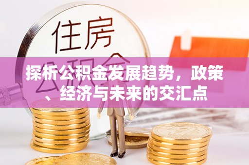 南乐探析公积金发展趋势，政策、经济与未来的交汇点