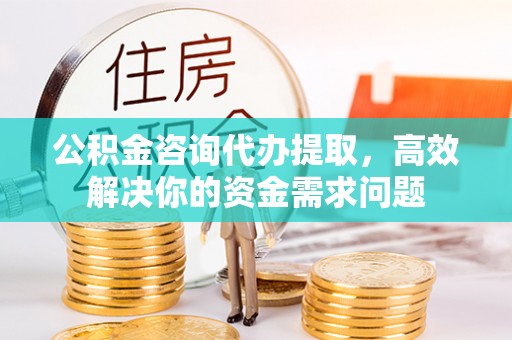 南乐公积金咨询代办提取，高效解决你的资金需求问题