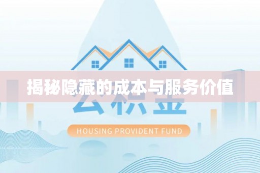 南乐揭秘隐藏的成本与服务价值