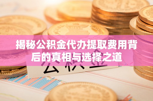南乐揭秘公积金代办提取费用背后的真相与选择之道