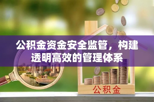南乐公积金资金安全监管，构建透明高效的管理体系