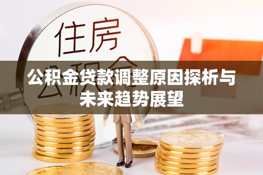 南乐公积金贷款调整原因探析与未来趋势展望