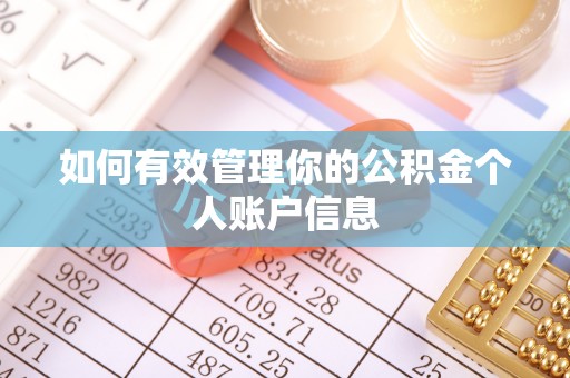 南乐如何有效管理你的公积金个人账户信息